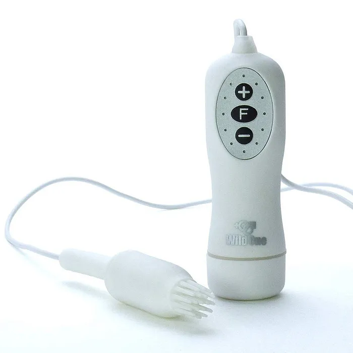 ChiChi Kuri Rotor Other Brands Vibrators
