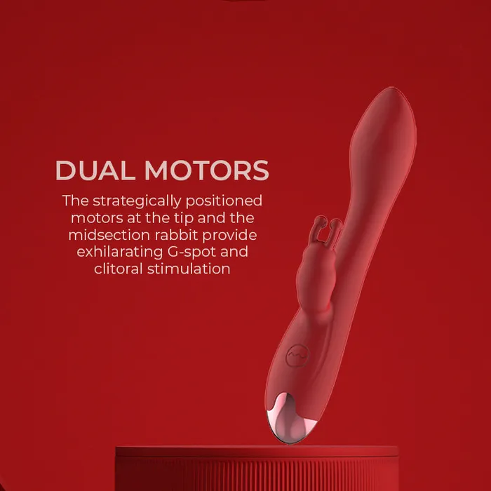 Blissful Dual Delight Gspot Vibrator FRISKY BUSINESS SG Female Sex Toys