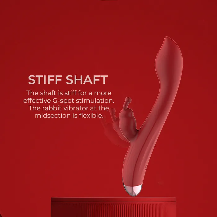 Blissful Dual Delight Gspot Vibrator FRISKY BUSINESS SG Female Sex Toys