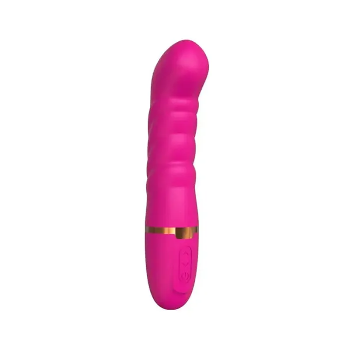 Female Sex Toys Long Distance Bluetooth APP Control Vibrator Inyarose