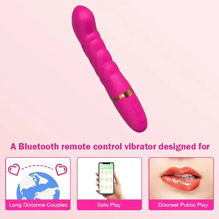 Female Sex Toys Long Distance Bluetooth APP Control Vibrator Inyarose