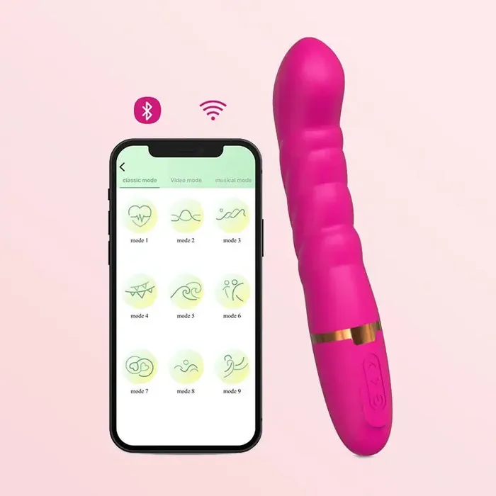 Female Sex Toys Long Distance Bluetooth APP Control Vibrator Inyarose