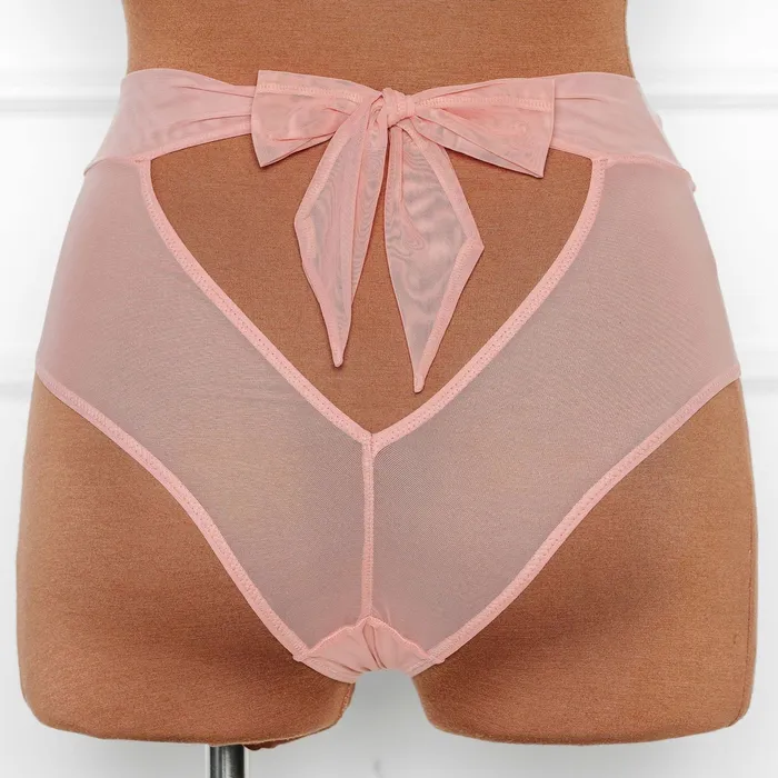 Mentionables Vibrators Lace Mesh High Waist Panty Blush