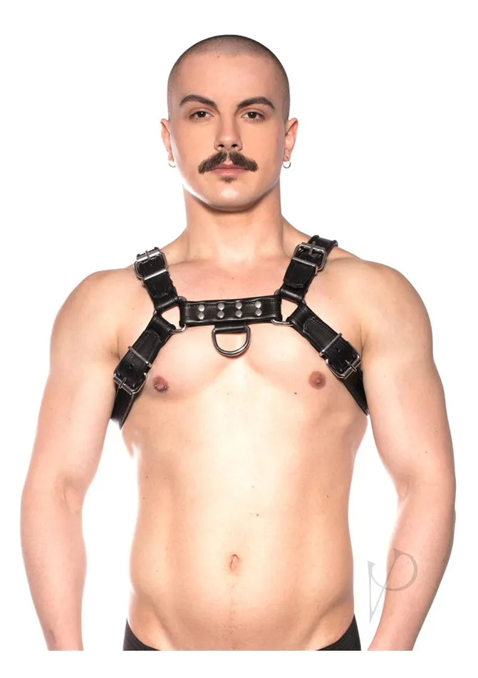 Anal Prowler Red Prowler RED Bull Harness Medium Black