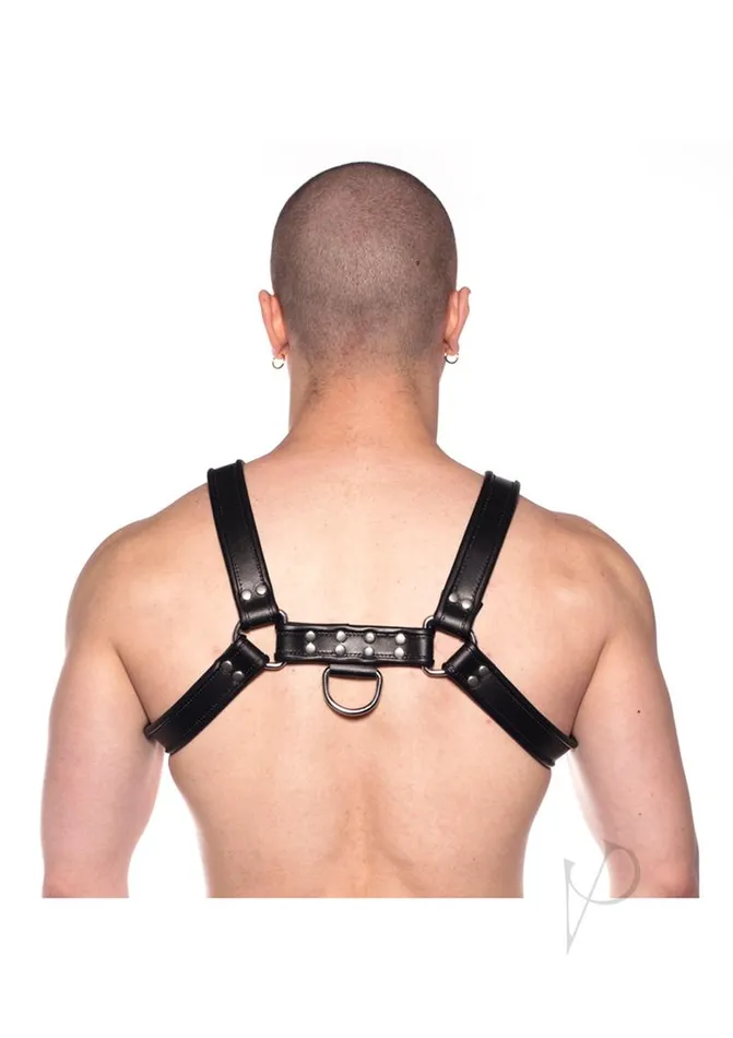 Anal Prowler Red Prowler RED Bull Harness Medium Black Anal Prowler Red Prowler RED Bull Harness Medium Black