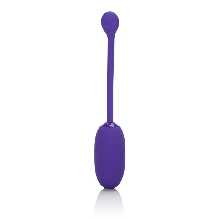 Female Sex Toys Rechargeable Kegel Ball Starter Purple SimpleeDiscreet