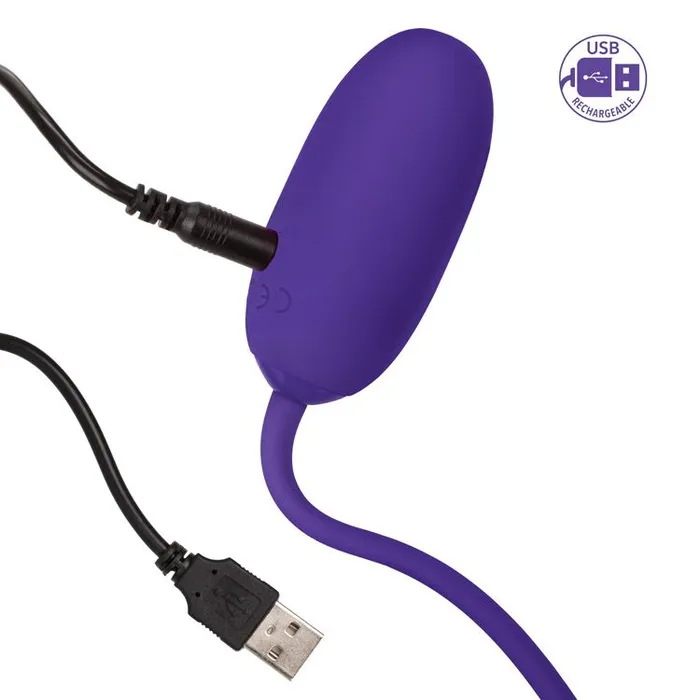 Female Sex Toys Rechargeable Kegel Ball Starter Purple SimpleeDiscreet