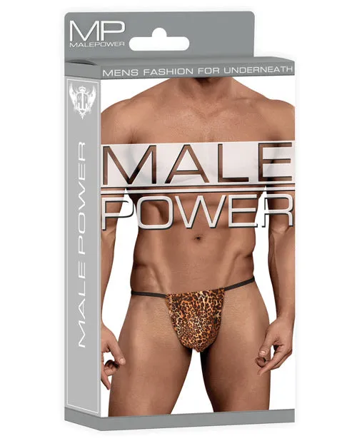 Male Power Male Sex Toys Male Power Posing Strap Thong Animal Print OS Male Power Male Sex Toys Male Power Posing Strap Thong Animal Print OS