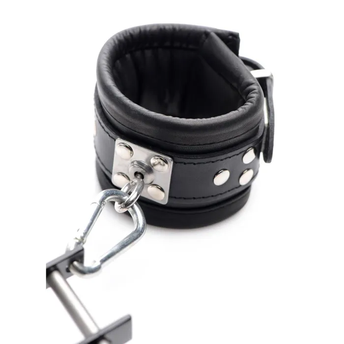 Male Sex Toys Master Series The Penis Pillory