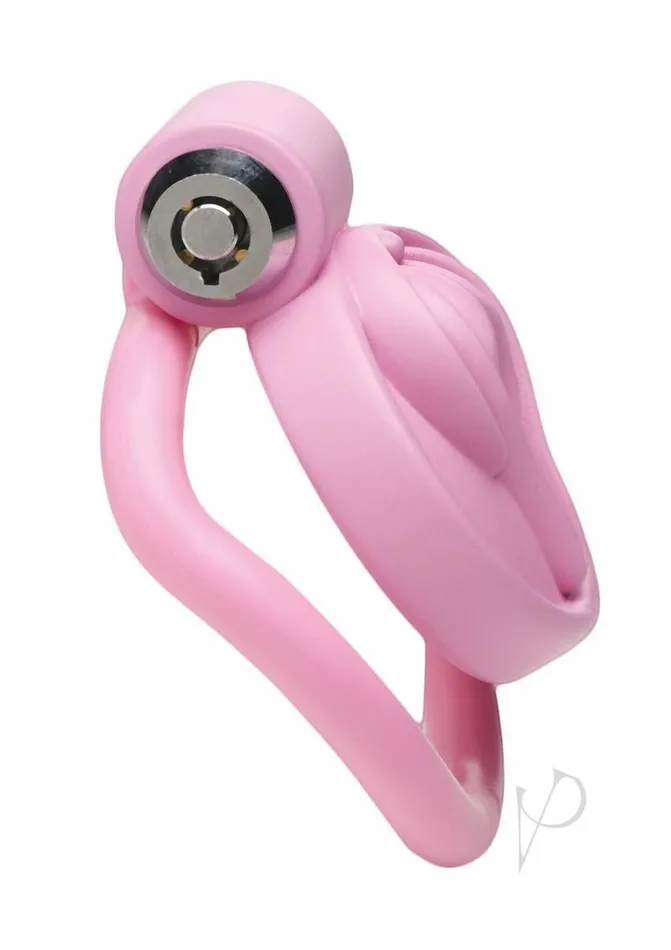 Master Series Pussification Vulva Chastity Cage Pink Master Series Male Sex Toys Master Series Pussification Vulva Chastity Cage Pink Master Series Male Sex Toys