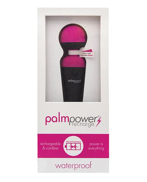 PalmPower Rechargeable Silicone Personal Wand Massager Fuschia Palmpower Female Sex Toys