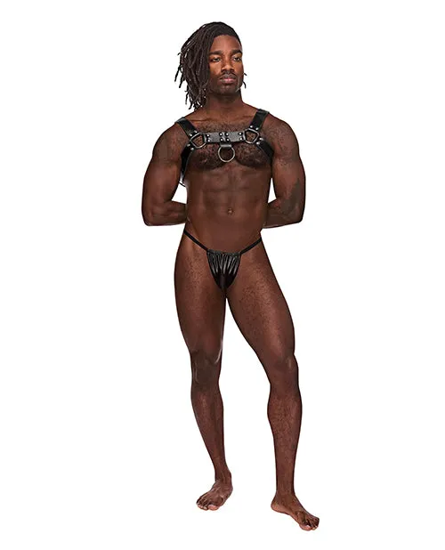 Restraints Male Power Leather Aries Single Ring Harness Black OS Restraints Male Power Leather Aries Single Ring Harness Black OS