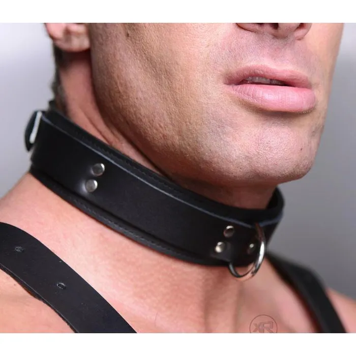 Restraints Strict Leather Strict Leather Lightweight Lined Collar