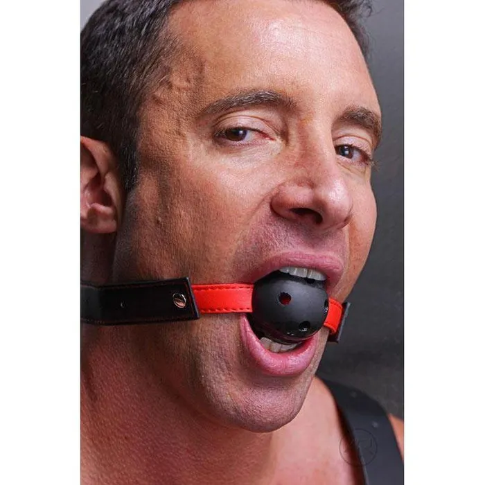 Subdue Me Breathable Ball Gag Frisky Male Sex Toys