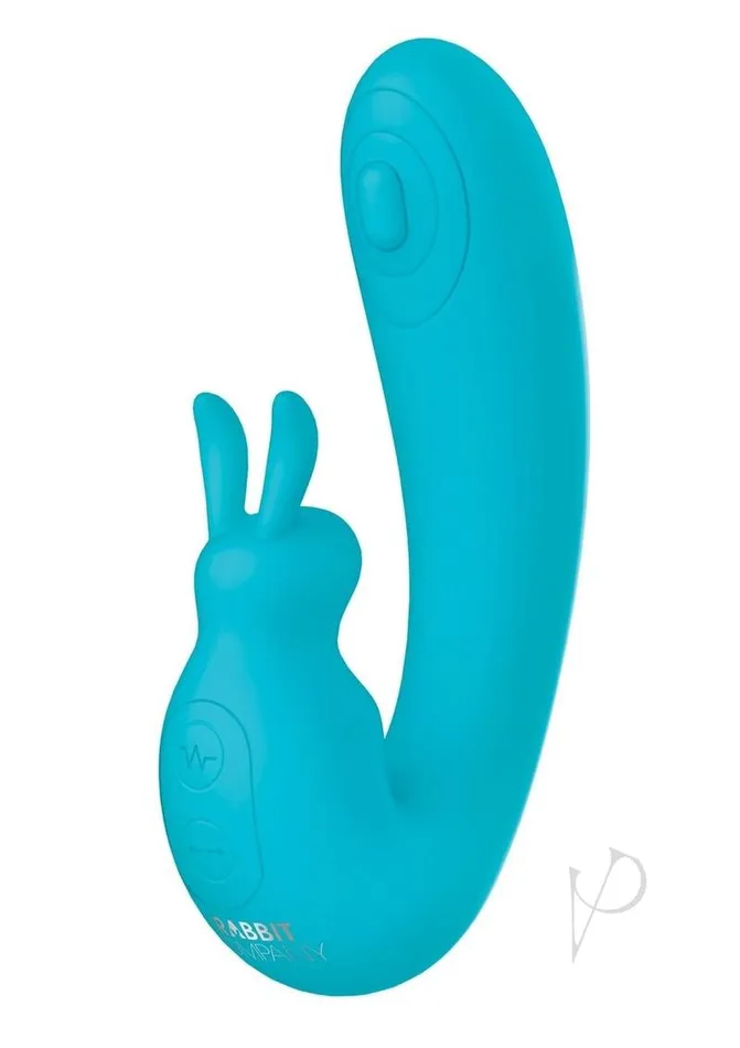 The Rabbit Company Vibrators The Rabbit Company The Internal Rabbit Rechargeable Silicone Vibrator Blue The Rabbit Company Vibrators The Rabbit Company The Internal Rabbit Rechargeable Silicone Vibrator Blue