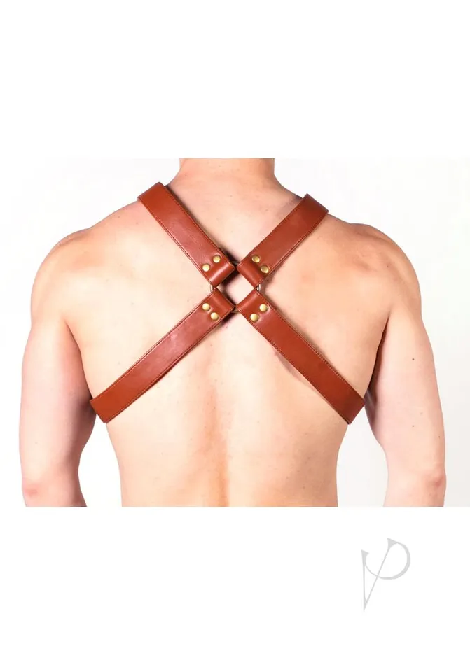 Vibrators Prowler Red Prowler Red X Chest Harness XXLarge BrownBrass Vibrators Prowler Red Prowler Red X Chest Harness XXLarge BrownBrass