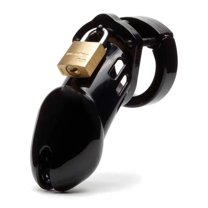 Wild Night Fantasies Male Sex Toys CB6000 Male Chastity Cock Cage Kit