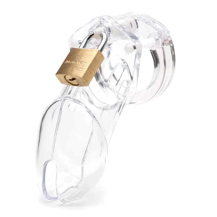 Wild Night Fantasies Male Sex Toys CB6000 Male Chastity Cock Cage Kit