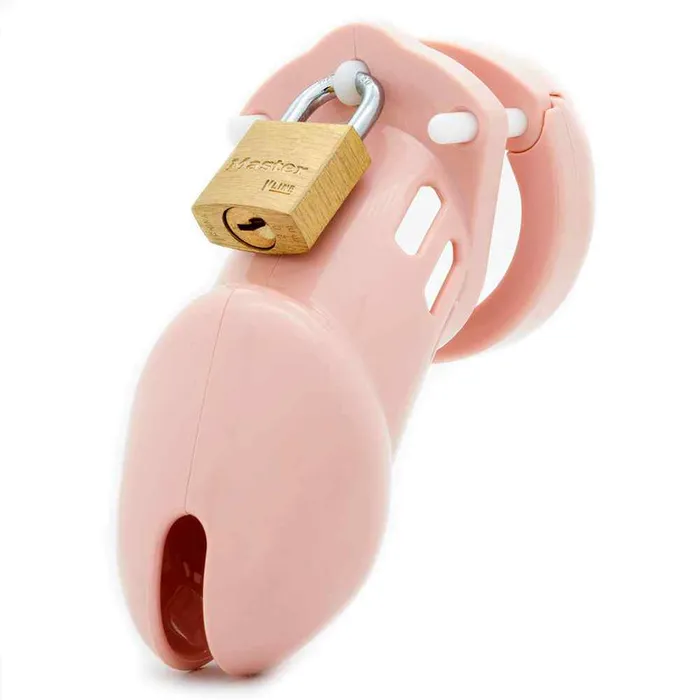 Wild Night Fantasies Male Sex Toys CB6000 Male Chastity Cock Cage Kit