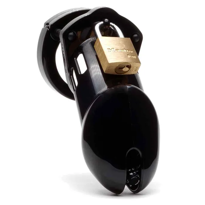 Wild Night Fantasies Male Sex Toys CB6000 Male Chastity Cock Cage Kit