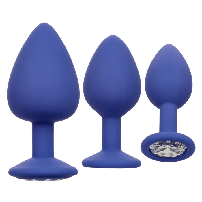 CalExotics Vibrators Cheeky Gems Purple