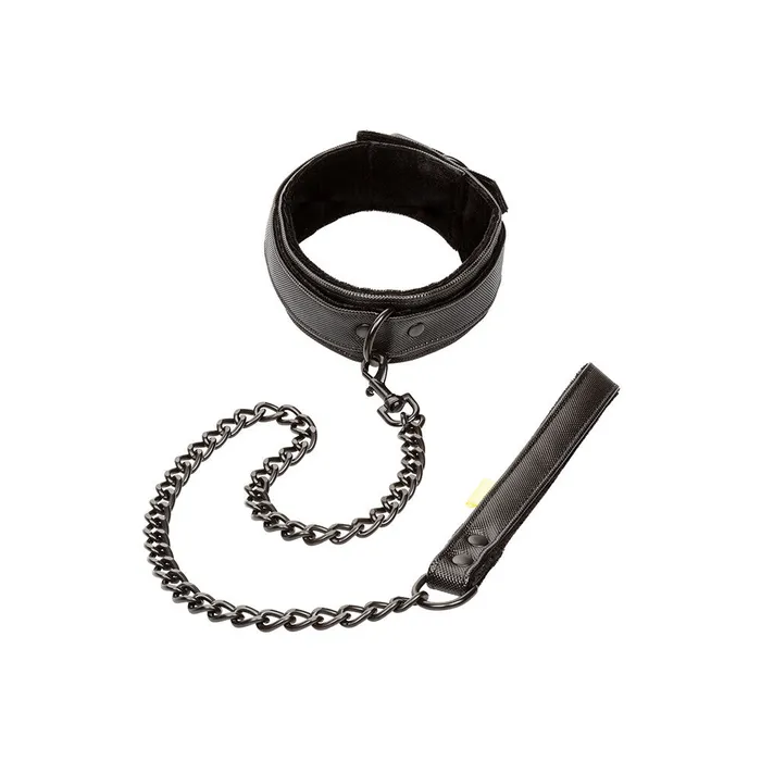 California Exotic Vibrators Boundless Collar and Leash