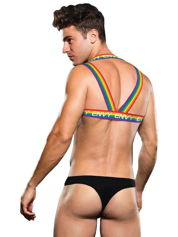 Female Sex Toys Envy Rainbow Harness LXL BX Baci Female Sex Toys Envy Rainbow Harness LXL BX Baci