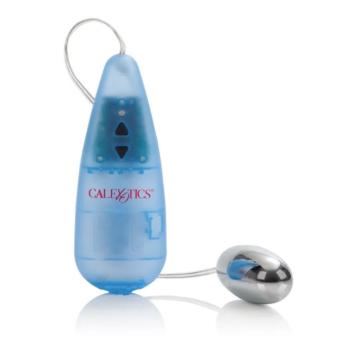 Female Sex Toys LuvMyToyz Pocket Exotics Vibrating Silver Bullet