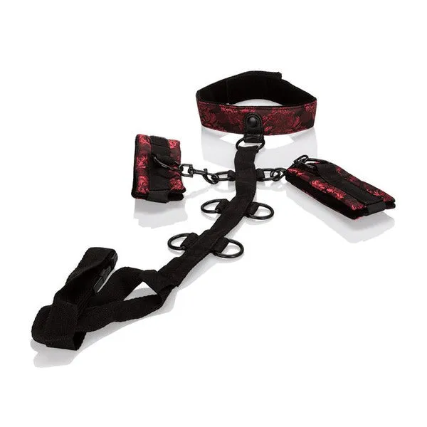 Female Sex Toys Scandal Collar Body Restraint CalExotics