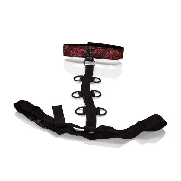 Female Sex Toys Scandal Collar Body Restraint CalExotics