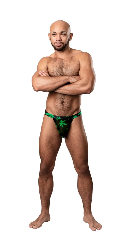 Male Sex Toys Hazy Dayz Micro Thong Smallmedium Pot Leaf Male Power
