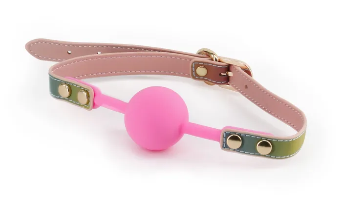 nsnovelties Spectra Bondage Ballgag Rainbow Couples