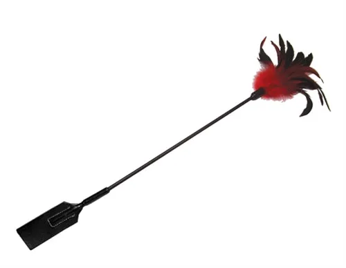 Sex and Mischief Feather Slapper Sportsheets Couples